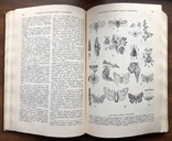 Колхозная производственная энциклопедия УССР, 1950г, фото №6