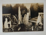 1930-е, Петергоф, аллея фонтанов, фото №2