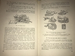 1953 Приготовление Полуфабрикатов и Обработка продуктов, фото №7