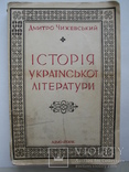 «Історія української літератури» Д.Чижевський, Нью-Йорк 1956 год, первое издание, фото №2