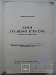 «Історія української літератури» Д.Чижевський, Нью-Йорк 1956 год, первое издание, фото №3
