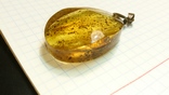 Кулон янтарь 12,9 грамм, фото №6