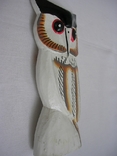 Белая сова, фото №3