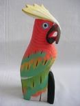 Попугай ара, фото №2