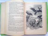 Истории с людьми и животными.  На немецком языке. Берлин 1986  528 с. ил.  Б.формат., фото №7