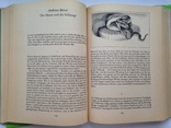 Истории с людьми и животными.  На немецком языке. Берлин 1986  528 с. ил.  Б.формат., фото №9