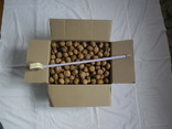 Орехи грецкие урожай 2018 4 кг., фото №2