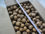Орехи грецкие урожай 2018 4 кг., фото №4