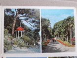 Нікітський ботанічний сад. 10 листівок., фото №3