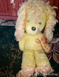 Собака жёлтая лахматая, фото №2