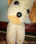 Собака щенок пёсик с оранжевым хвостом СССР, фото №2