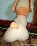 Собака щенок пёсик с оранжевым хвостом СССР, фото №6