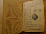 "Учебник общей географии". Петроград. 1916 год., фото №8