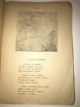 1919 Стихотворения предисловие Бродского, фото №9