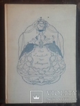 Маркиза с рисунками Константина Сомова. 1923 год., фото №2