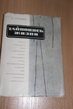 Тайнопись жизни .Азерников 1966 год  Все о ДНК, фото №2