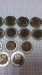 Полный набор монет красной книги 15 шт., фото №9