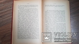 Монографии Костомарова Руина. Тернополь . 1892 г. Том 7, фото №10