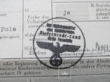 3-й Рейх Германия, Личная карточка, фото №9