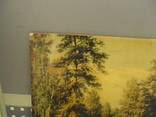 Репродукция. Картина литография шишкин, дерево лак, фото №4