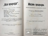 11томов Брэм (1902г) Жизнь животных, фото №7