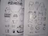 Исследование поселений - гигантов трипольской культуры 2002-2004 гг 2005 г, фото №5