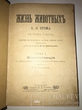 1902 Жизнь Животных 1-том из двух, фото №8