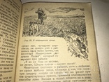 1939 Охота с Ружьём по Придонью, фото №6