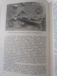 Оповіді про стародавній Київ 1982 год, фото №6