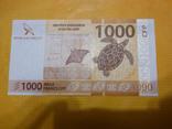 Французская Полинезия 1000 франков 2014 фауна птицы черепаха рыба, фото №2