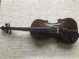 Скрипка, фото №2