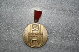 Золотая медаль. Лат. ССР., фото №2