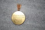 Золотая медаль. Лат. ССР., фото №3