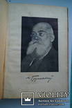 М. Грушевський Під зорями. 1925 р., фото №10
