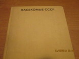 Справочник определитель(насекомые СССР), фото №2