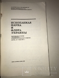 Ископаемая Фауна и Флора Украины для коллекционеров 500-тираж, фото №13