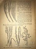 1933 Підготовка Насіння до посіву Українська книга, фото №2