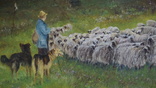 Пастух., фото №4