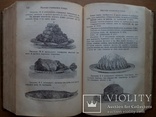 Кулинария. Подарок молодым хозяйкам 1912г. С автографом., фото №4