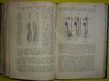 1898  Учебник зоологии. Рихард Гертвиг.  Одесса, фото №9