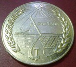 Настольная медаль*50 лет Баштанской Республике*, фото №3