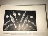 1961 Археология Древности Земли, фото №4