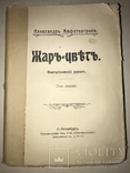 1910 Фантастика Амфитеатрова Жар-Цвет, фото №2