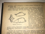 1936 Археология Нижнего Поволжья, фото №3