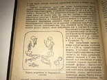 1936 Археология Нижнего Поволжья, фото №9