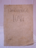 Подпись Прокопенко. Женщина с яблоком. Холст, масло. Размер 54х77 см., фото №13