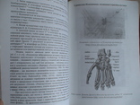 О. Федорів "Туринська Плащаниця у світлі інтернету" 2000р., фото №5