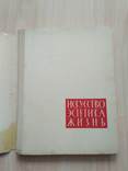 Искусство Эстетика Жизнь 1963р., фото №3