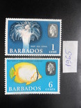 Фауна моря. Барбадос. 1965 г.  марки MLVH, фото №2
