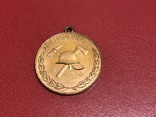 Медаль Германии, фото №2